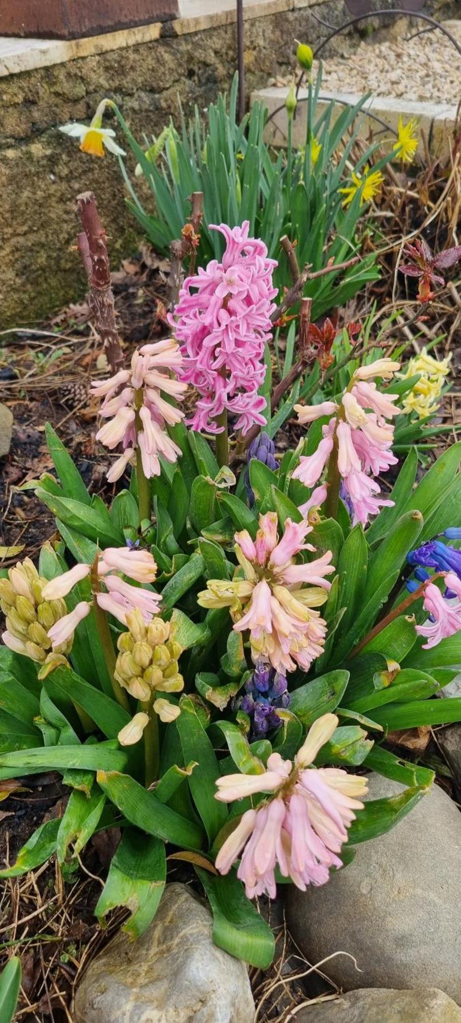BevonsMas Tulipe De Soie住宿加早餐旅馆 外观 照片